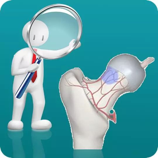 1532512960950279.jpeg 图片